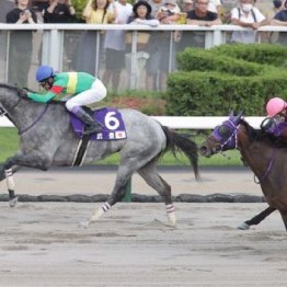 【飯島の土曜競馬コラム・千歳特別】