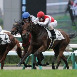 【木津の土曜競馬コラム・すずらん賞】
