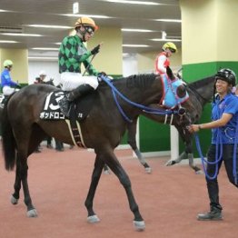 【橘の土曜競馬コラム・名古屋城Ｓ】