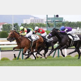 今週も新種牡馬に注目