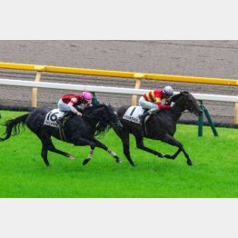 前走で未勝利をクリア