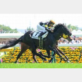 1勝クラスを好タイム勝ち