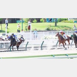6馬身差の圧勝