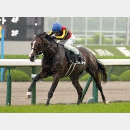 古馬相手の三田特別を快勝