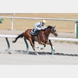 2勝クラスに続いて3勝クラスもあっさり