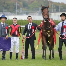 【市川の日曜競馬コラム・新潟記念】