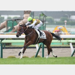 自己条件ならスピードが違う