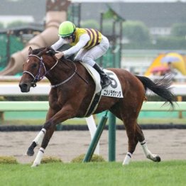 【飯島の日曜競馬コラム・ＨＢＣ賞】