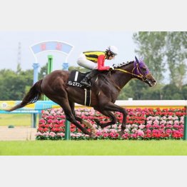 昨年は長岡Ｓ勝ち