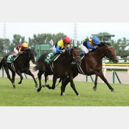 19年は４歳馬のワン・ツー