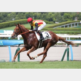 2戦目に7馬身差の圧勝