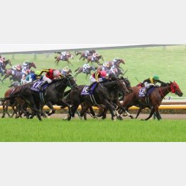 ヴィクトリアマイルで首+鼻差