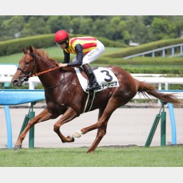2戦目で一変