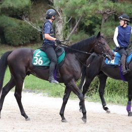 【中京５Ｒ・２歳新馬】レッドラージャ　牡・友道康夫厩舎