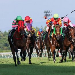 【新潟記念】シランケドが外から差し切り重賞２勝目