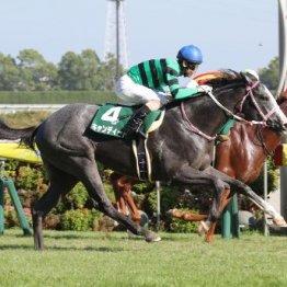 【中京２歳Ｓ】高速馬場でスプリント力が生きたキャンディード