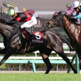 【紫苑Ｓ】秋華賞トライアルで実績馬と上がり馬が激突