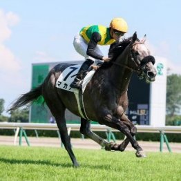 １勝クラスを凄い時計で勝ったこの２頭