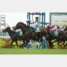 21年は7番人気のカテドラルがV
