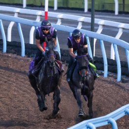 【紫苑Ｓ】ジョスラン春からの成長をアピール