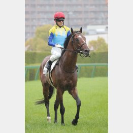 福永師もデキに太鼓判