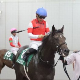 【市川の土曜競馬コラム・エニフＳ】