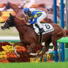 【木津の土曜競馬コラム・古作特別】