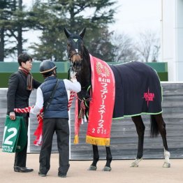 【武田の土曜競馬コラム・札幌２歳Ｓ】