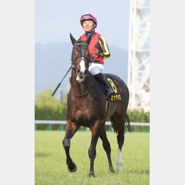 復帰3戦目でVだ