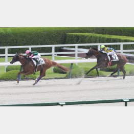前回は完勝だった