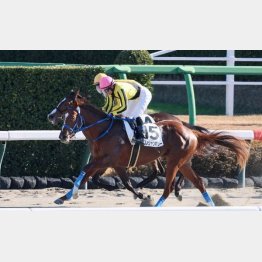 同舞台で新馬勝ち
