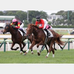 加速ラップを差し切り勝ち