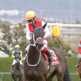 【市川の日曜競馬コラム・セントウルＳ】