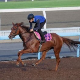 【木津の日曜競馬コラム・紫苑Ｓ】