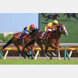 今度は逆転だ