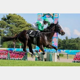 中郷特別勝ちは価値あり