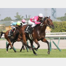 長篠Ｓを完勝