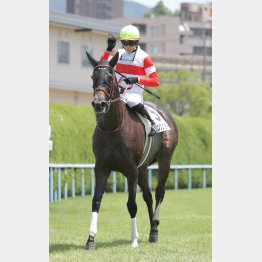 素質馬が秋へ向け始動