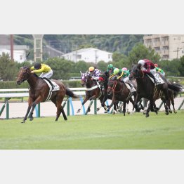 前走も余裕の勝利