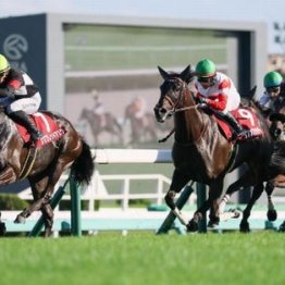 【紫苑Ｓ】ケリフレッドアスクが逃げ切って重賞初制覇