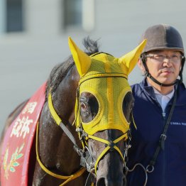 ビッグアーサー産駒カンチェンジュンガは外枠でなくても勝ち切った点に価値あり
