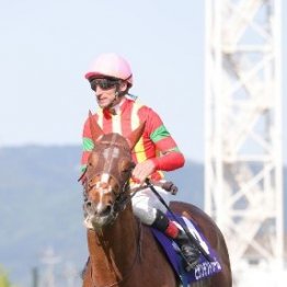 【フォワ賞】ビザンチンドリーム快勝で楽しみが増した今週末の前哨戦