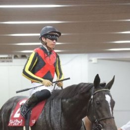 【ローズＳ】オークス馬カムニャック始動