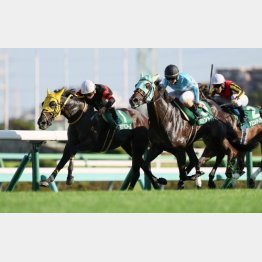 内からホウオウラスカーズが突き抜けた