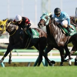先週の４重賞を簡潔に分析すると
