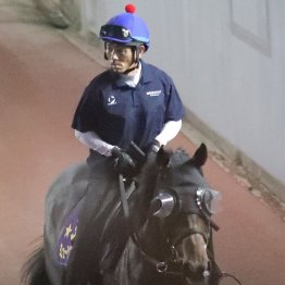 【セントライト記念】ミュージアムマイル反撃態勢