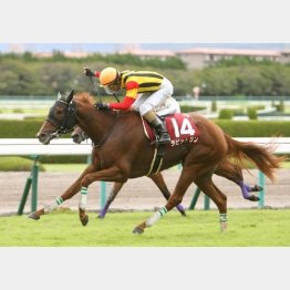 17年は8番人気ラビットランが連勝で重賞初制覇