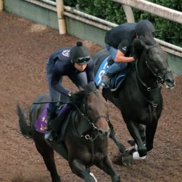 【セントライト記念】ミュージアムマイル始動戦としては文句なし