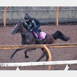 パラディエーヌは1F11秒0と小気味いい動き