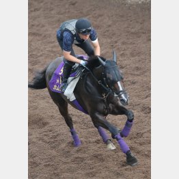 カムニャックは馬なりも追えばもうひと伸びしそうな雰囲気